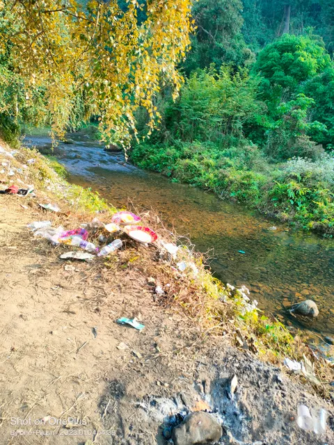 photo-1