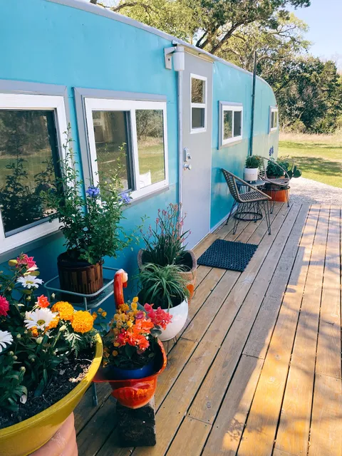 The Honeysuckle Rose