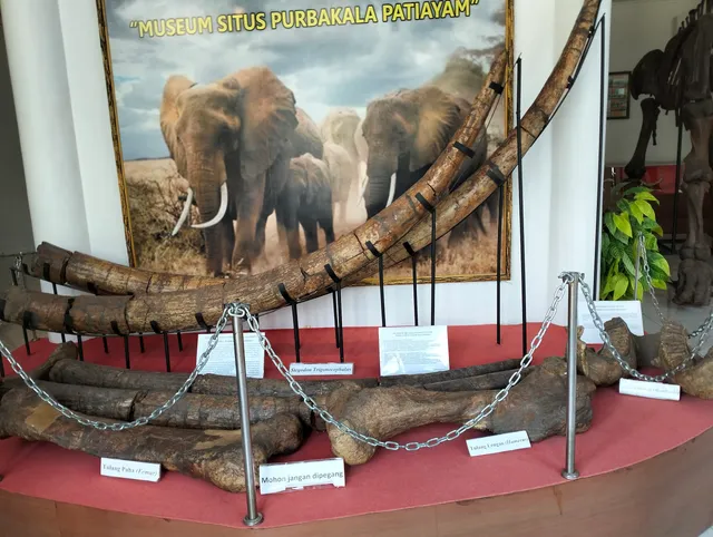 Patiayam Archaeological Museum