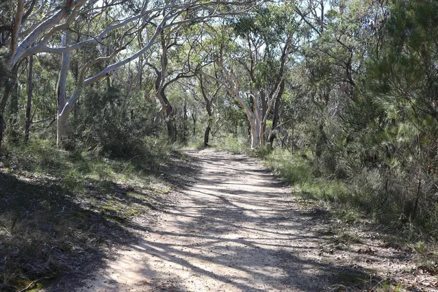 Gibberagong walking track