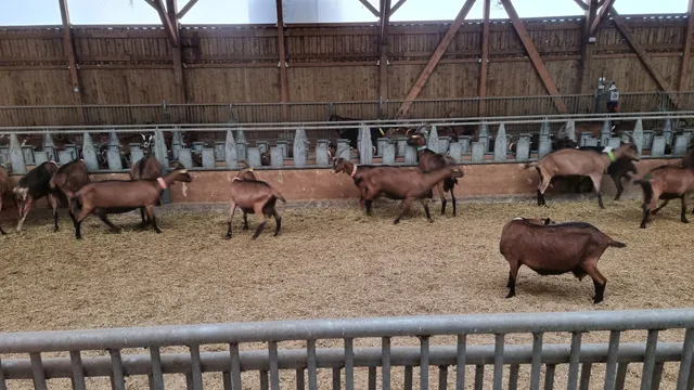 Ferme La Bête Noire Sancerroise