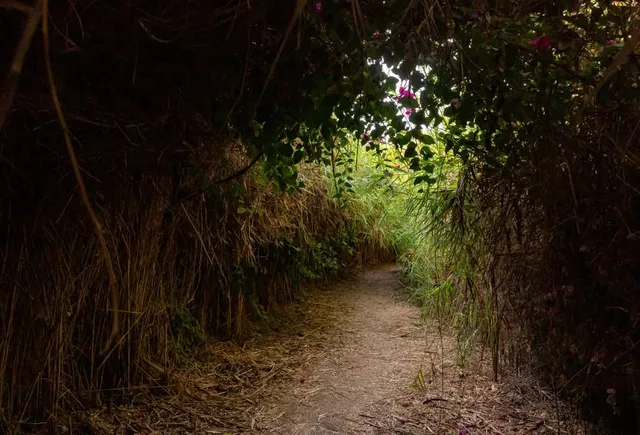 Mekorot HaYarkon Gan Leumi Yarkon