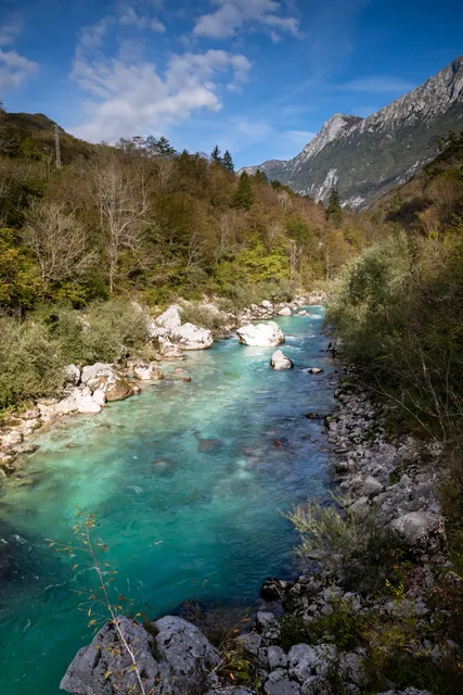 Juliana Trail - Official Page