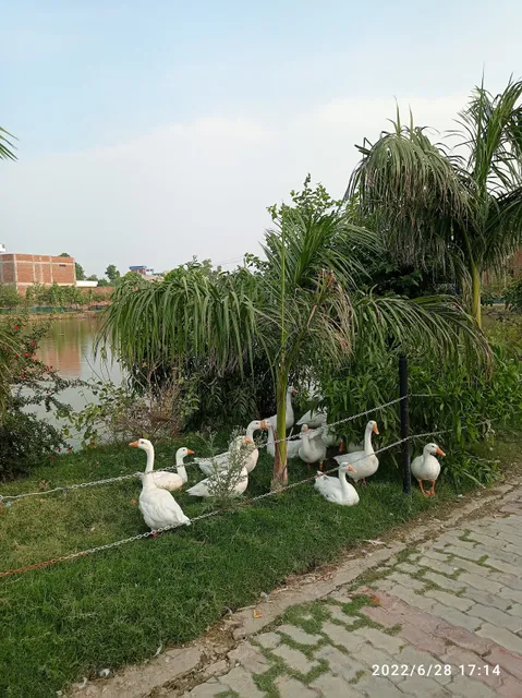 Belatali Park, Hardoi