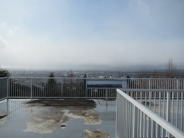 photo-1