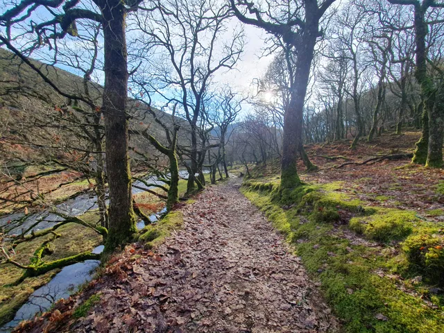 Ebike Trail Tour & Ebike North Devon