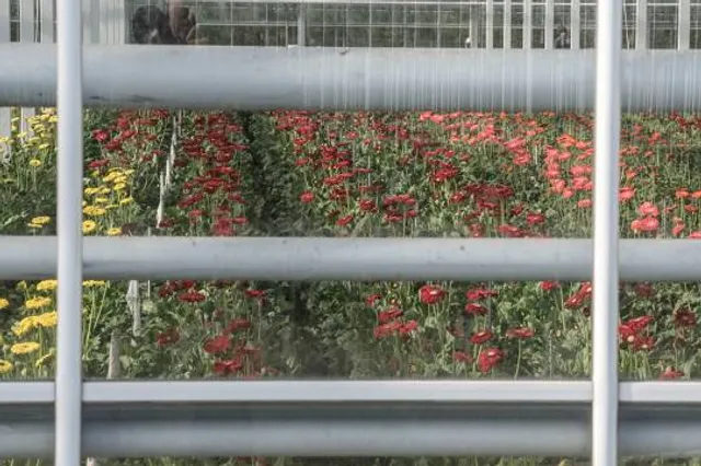 Oak Park Conservatory