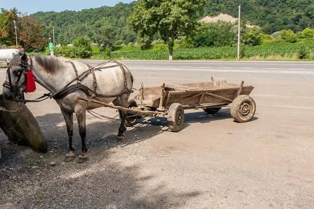 Great Smoky Mountains Heritage Center