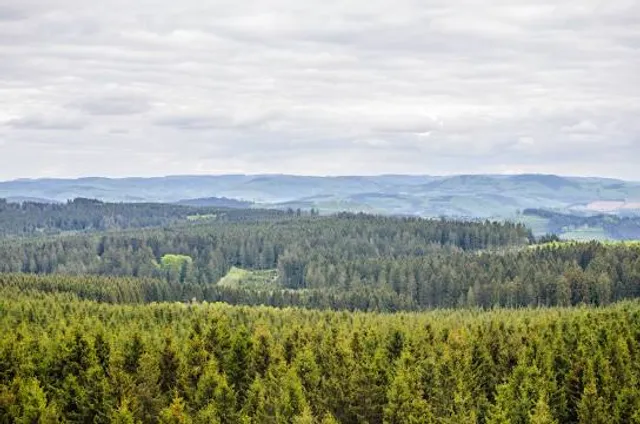 Geschäftsstelle Naturpark Arnsberger Wald