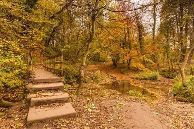 Plessey Woods Country Park