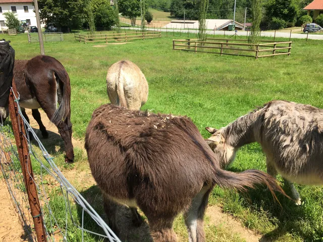 Il Rifugio degli asinelli