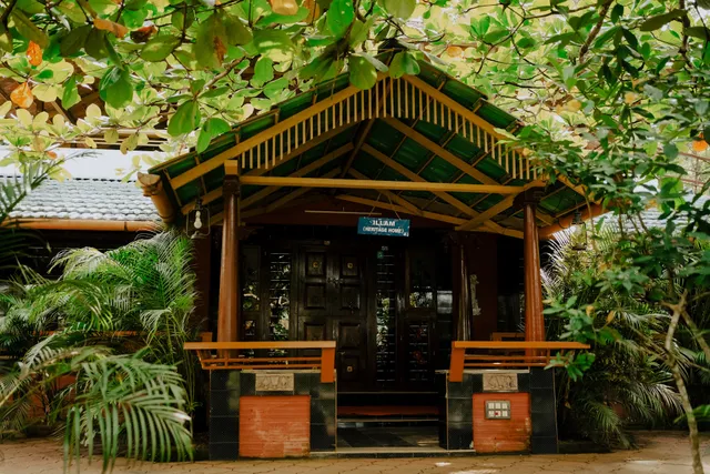 Misty Night Jungle Side Resort