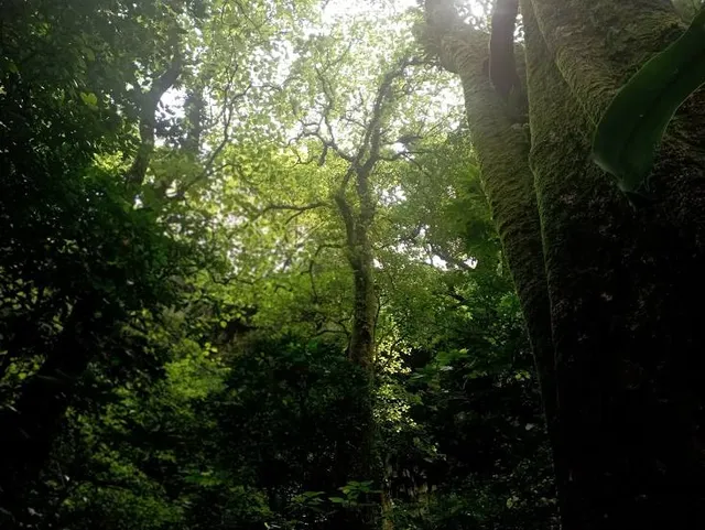 Air Terjun Kakek Bodo