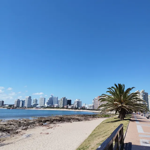 Playa Mansa, Punta del Este