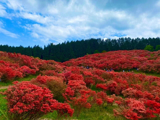 Katsuragi-sanroku Park