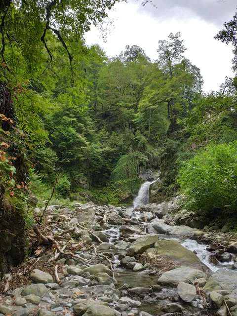 Campsite - Lagodekhi Nature Reserve