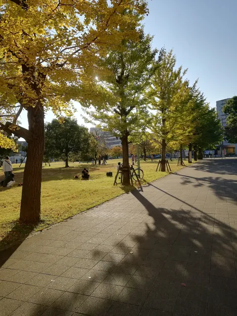 Fukuoka Central Park