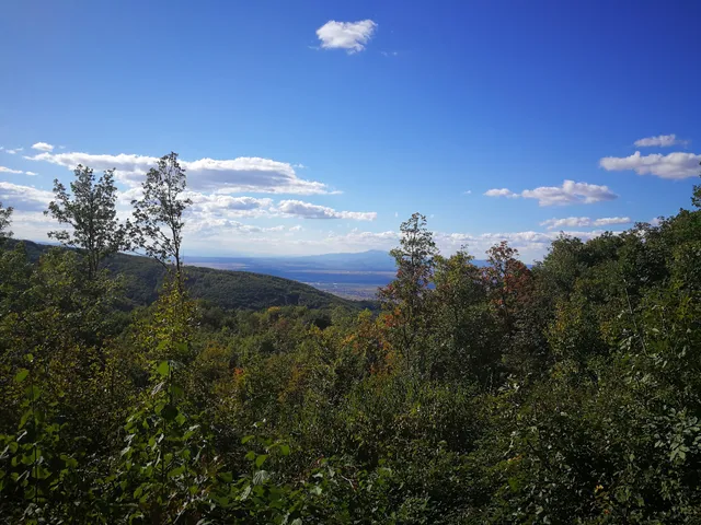 photo-1