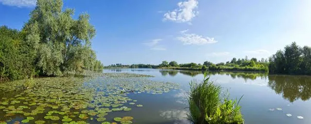 Étang de Romelaere