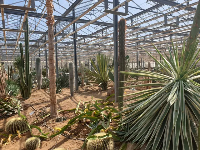 Creisméas Cactus Plantation