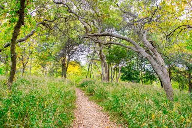 Oak Cliff Nature Preserve