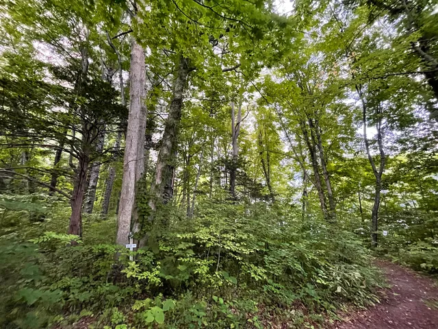 Tsukiura Forest Nature Park