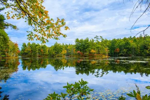 Nipmuck State Forest