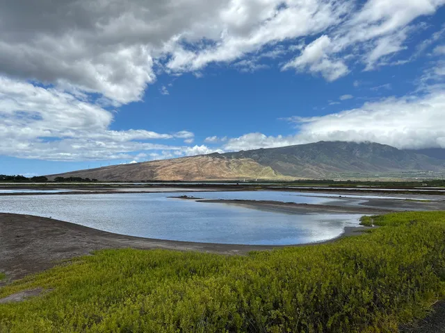 Kealia Pond National Wildlife Refuge
