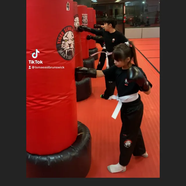 Tiger Schulmann's Martial Arts (East Brunswick, NJ)