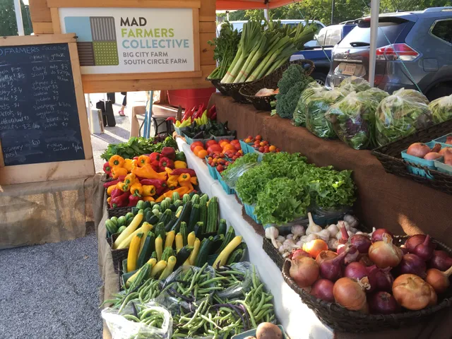 South Circle Farm - Mad Farmers Collective