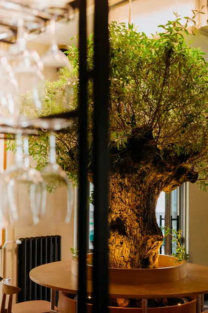 the morning after (the night before)