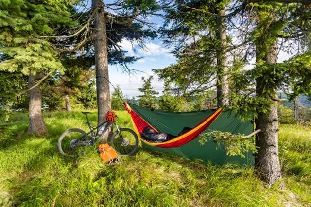 Sandy Ridge Trail System