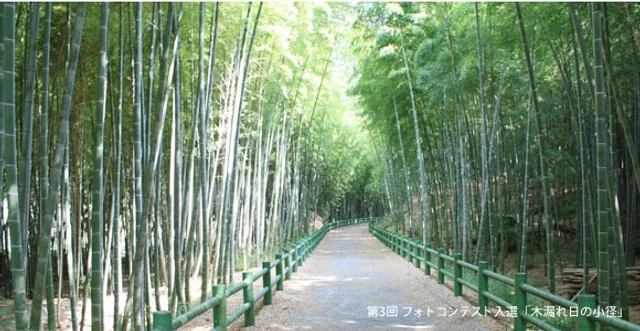 Makinogaike Green Park