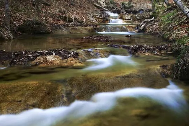 Kattikkayam Waterfalls