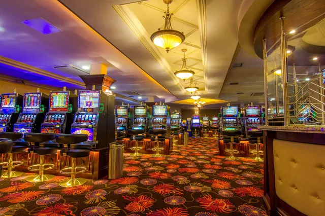 Olympic Amusements Limited