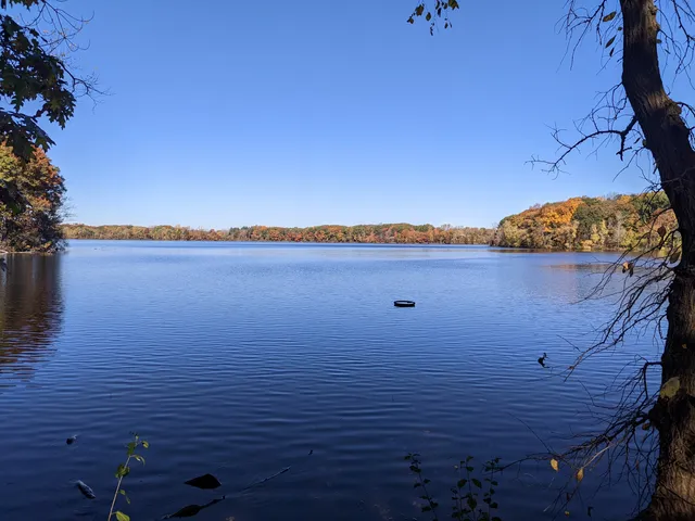 Fresh Pond Reservation