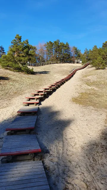 Leśna ścieżka dydaktyczna Orzechowska Wydma