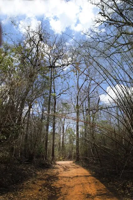 Bhimson's Agro Park & Tourism