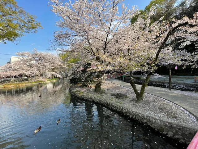 Wakaizumi Daini Park