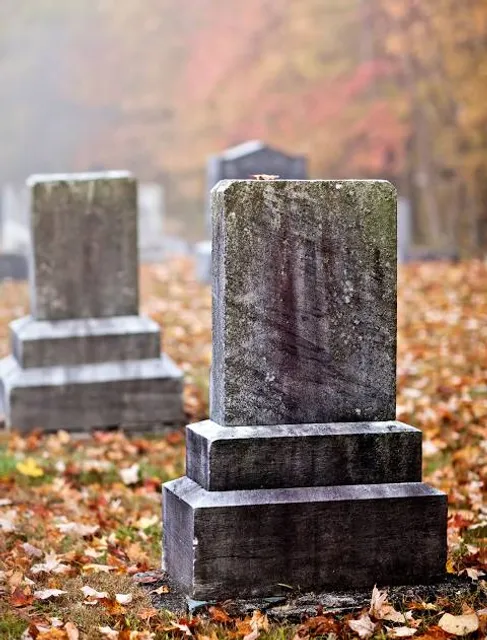 Ivenacker Tiergarten