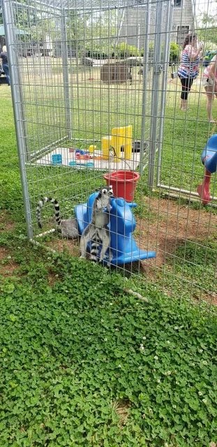 Sam's Path Mobile Petting Zoo