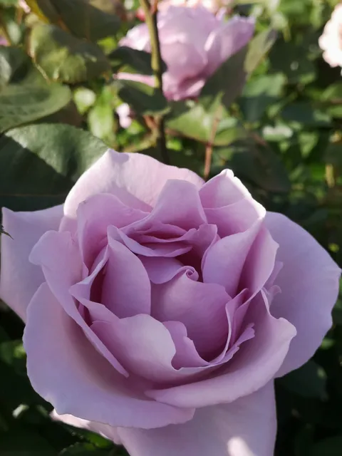 Ofuna Flower Center Entrance
