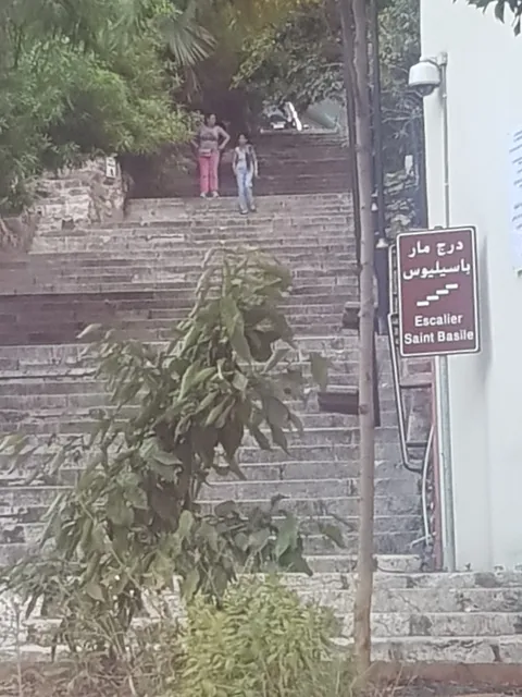 photo-1