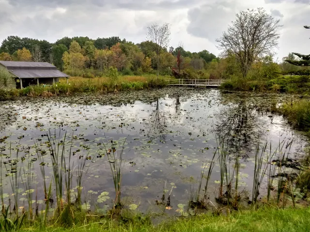 A.C.C. Moebius Nature Center