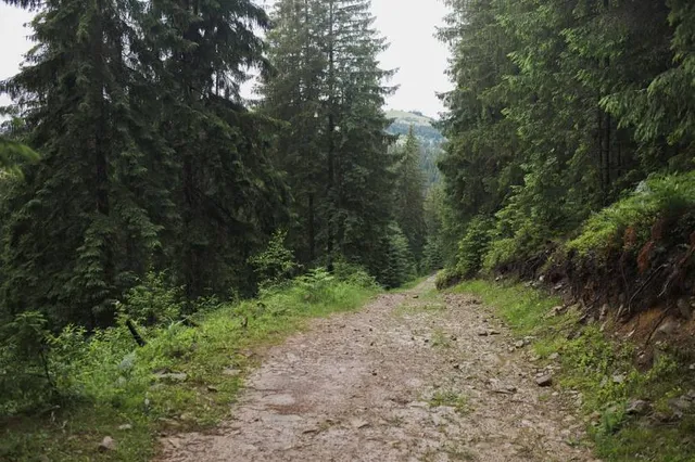 Old Greenwood Golf Course