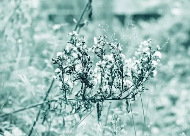 Kilgore College East Texas Oil Museum