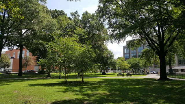 photo-1