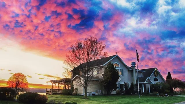 Thirsty Owl Wine Company