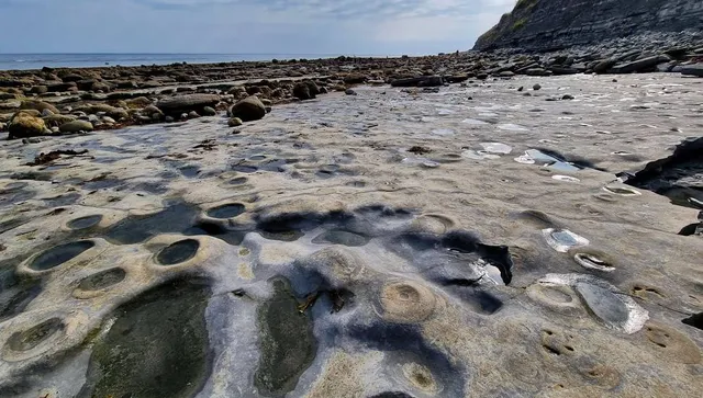 Lyme Regis Fossil Beach (Ammonite Pavement)