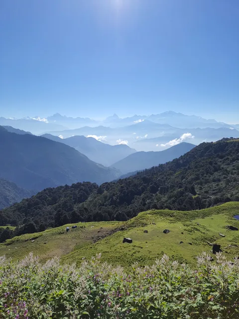 Shri Rudranath Temple, Panch Kedar